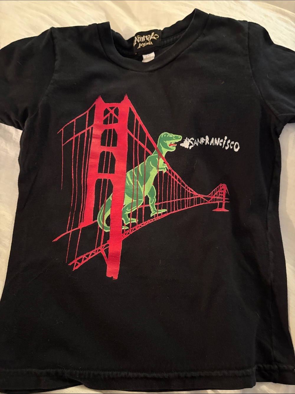 Tony Hawk Black Kids Tee with Red Bridge & Green Dino